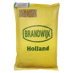 Brown Beans getrocknete holländische braun Bohnen