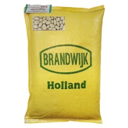 White Beans 10 kg bulk 10 Kg